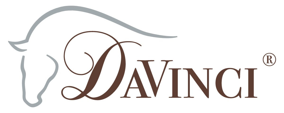 Da Vinci Logo