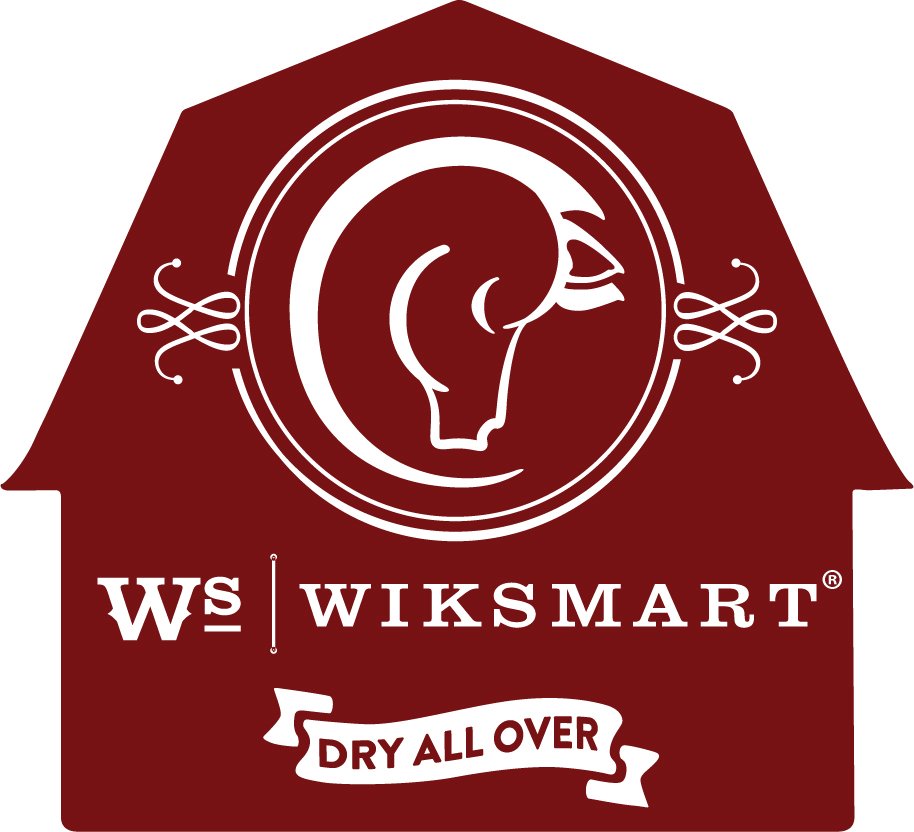 WikSmart Logo